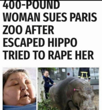 Hippo Has high standards