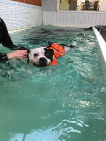 His first swimming lesson