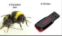 Hmm A BEE C