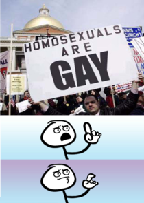 Homosexuals are gay