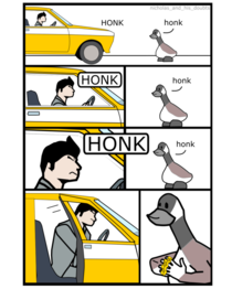 Honk 