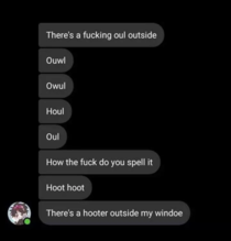 Hoot hoot