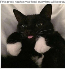 Hope youre having a great day