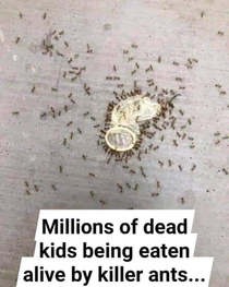 horrifing killer ants