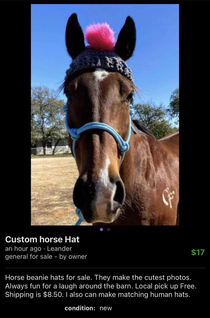 Horse beanie Yeah I live in TX 