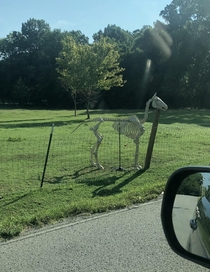 Horse farmer has a sense of humor