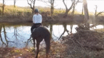 Horse goes into water for the first time