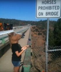 Horses Prohibited on bridge