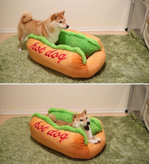 Hot dog 