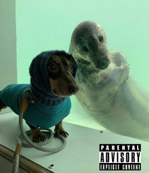 Hottest Rap Album of 