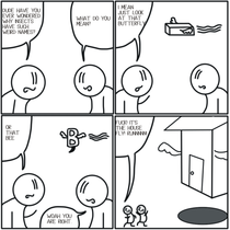 House Fly