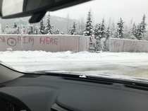 How an Alaskan home owner maintains their sense of humor lol