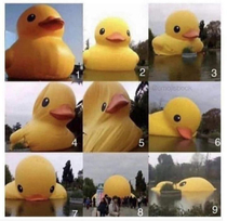 How are you today on a  -  rubber duck scale