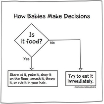 How babies make decisions