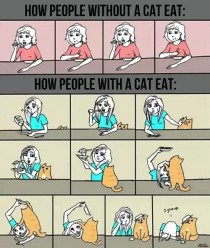 How cat owners eat