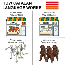 How Catalan language works