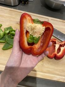 How could someone harvest a pregnant pepper
