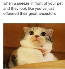 How could you