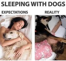 How do you sleep with your dog