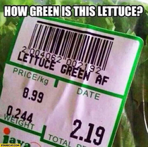 How green is this lettuce