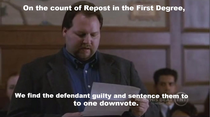 How I feel when I downvote a repost