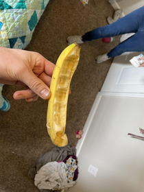 How I found my yo eating a banana