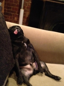how I sleep