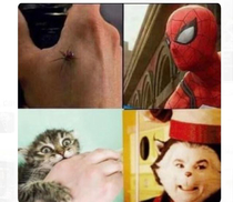 How it all happened
