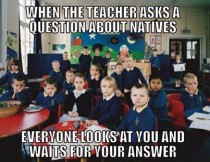 How it was being native American in school