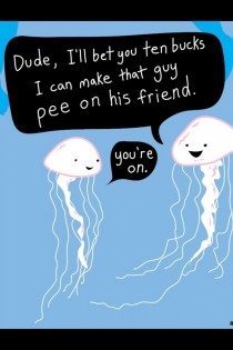 How jellyfish pass the time