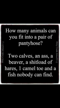 How many animals can you fit into a pair of pantyhose
