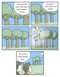 How many trees does it take to make a forest