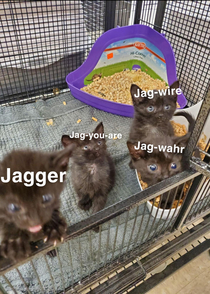 How many ways can you pronounce Jaguar
