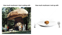 How much mushrooms I start cooking with vs how much I end up with