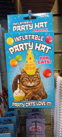 How much you want to bet that the photo was taken of a real cat with that party hat on
