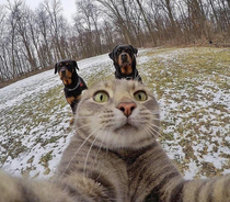 How my mom looks when shes trying to take a selfie