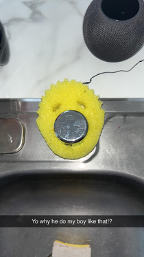 How my roommate puts away the scrub daddy