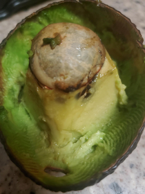 How my wife eatsleft me an avocado