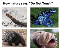 How nature says dont touch