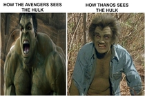 How The Avengers sees The Hulk vs How Thanos sees The Hulk