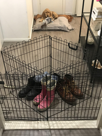 How the dog cage ended up being used