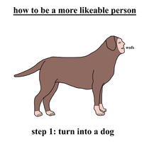 How to be a more likeable person