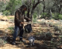 How to catch a kangaroo