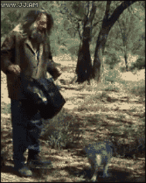 How To Catch Kangaroo