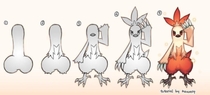 How to draw a combusken