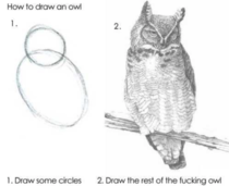 How to draw an owl