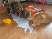 How to Drink milk
