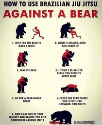 How to fight a bear