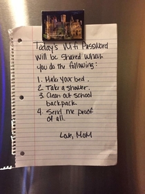 How to get a teenager to do his chores