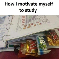 How to get gains while studying